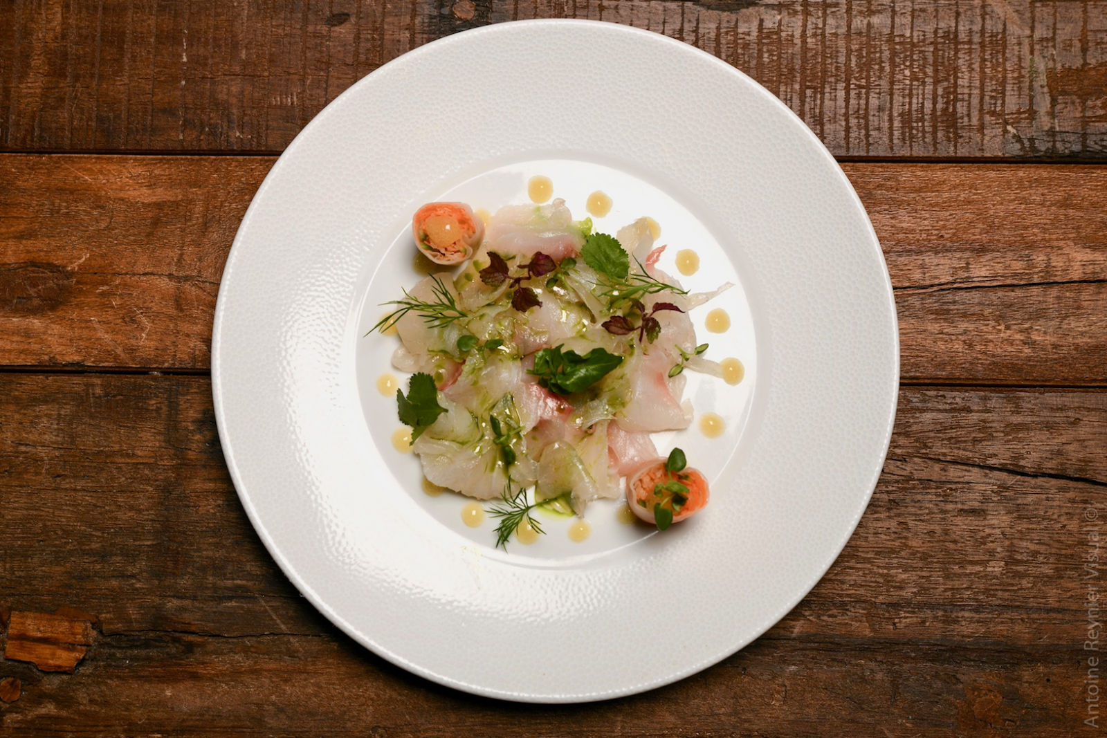 Le Ceviche de poisson à la Tahitienne entrée du restaurant du menu du jeudi soir au Maze à Limonest